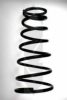 SPIDAN 55017 Coil Spring